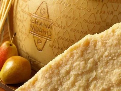 Distribuidora de grana padano